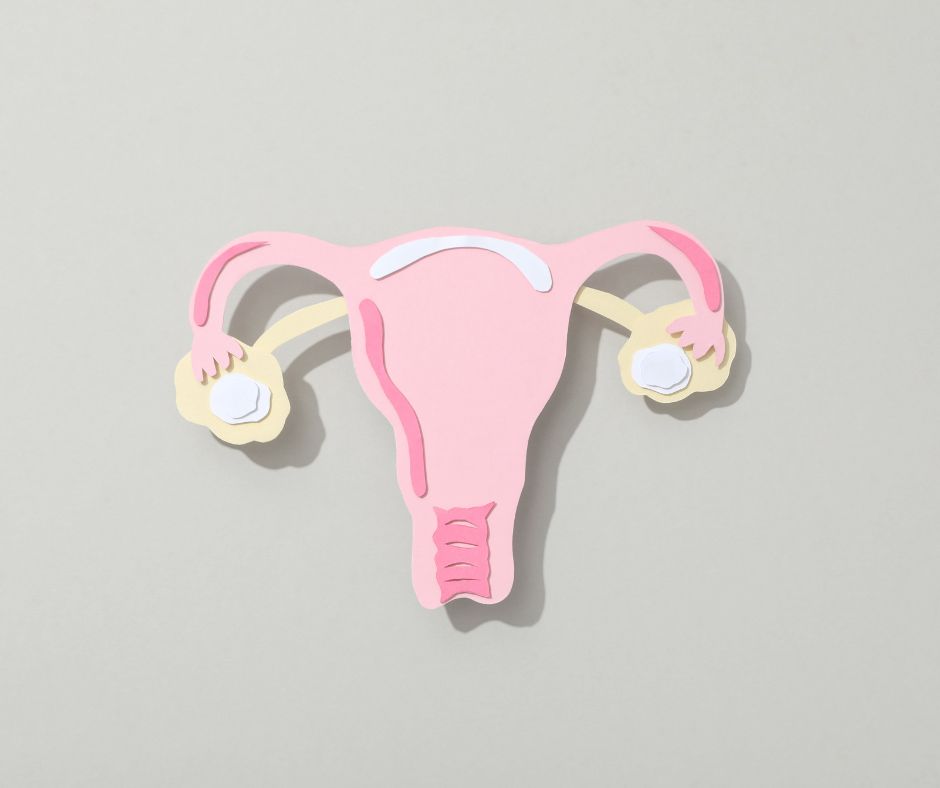 Fibroid / myoma support session