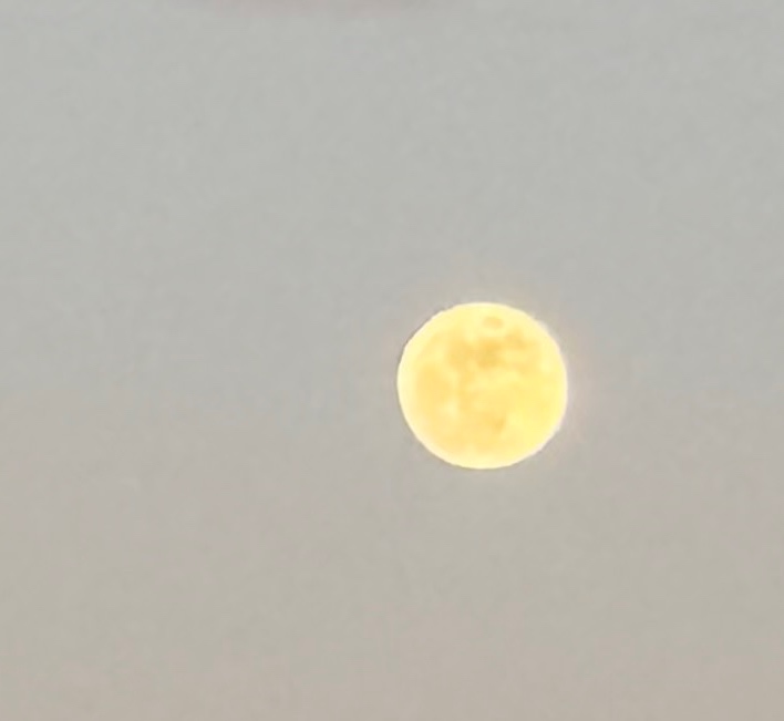 Professional Profile Image 807