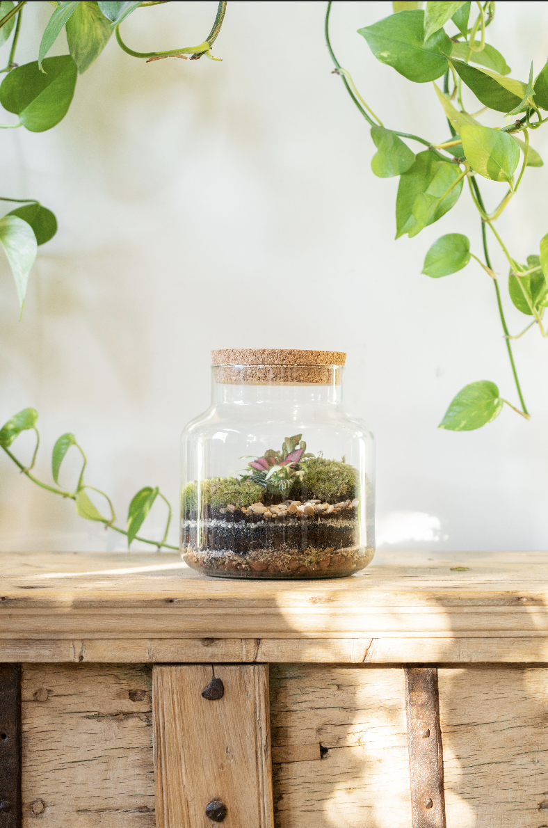 Terrarium Masterclass