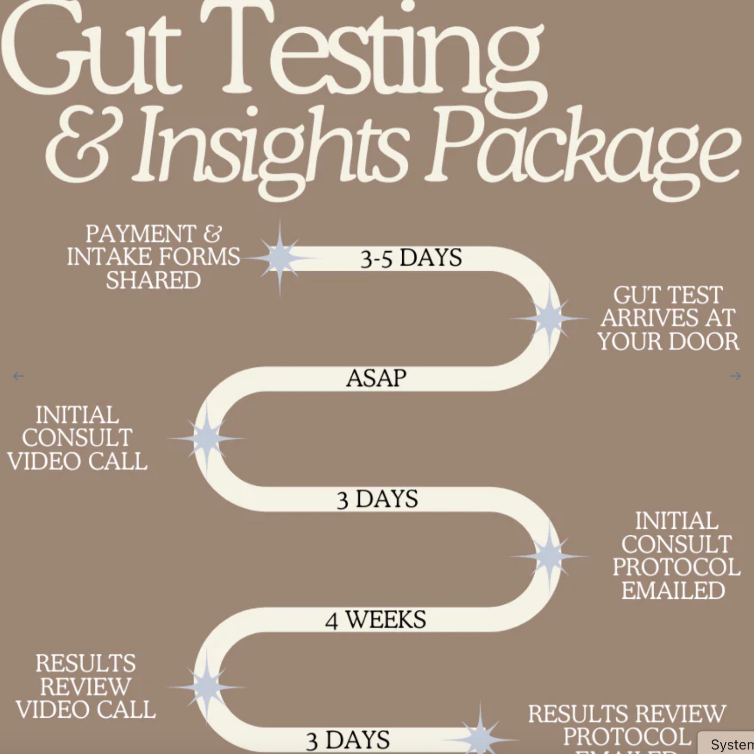 Gut Testing & Insights Package