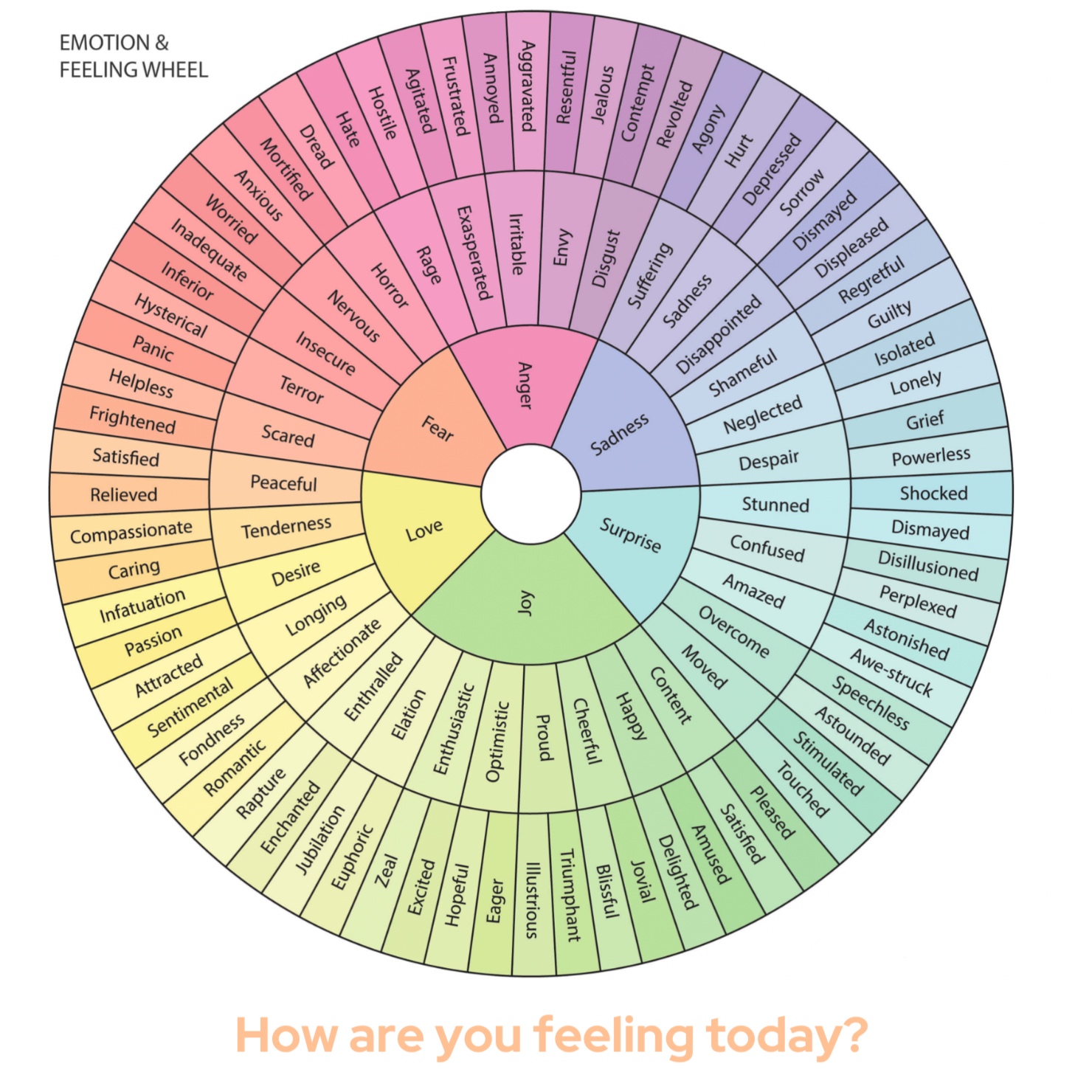 Guided Mindfulness