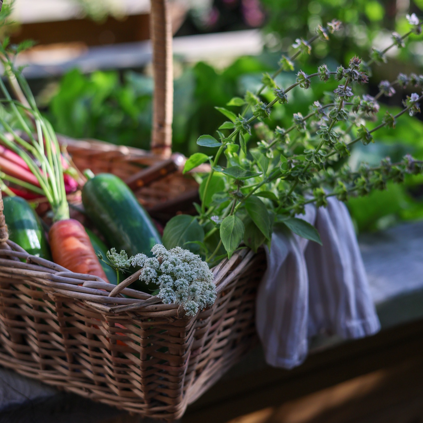 Focused Nutrition Consultation