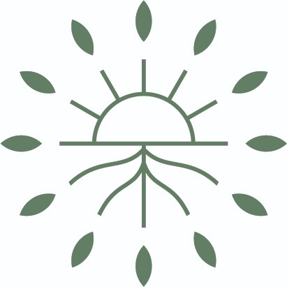 Private 1:1 Coaching