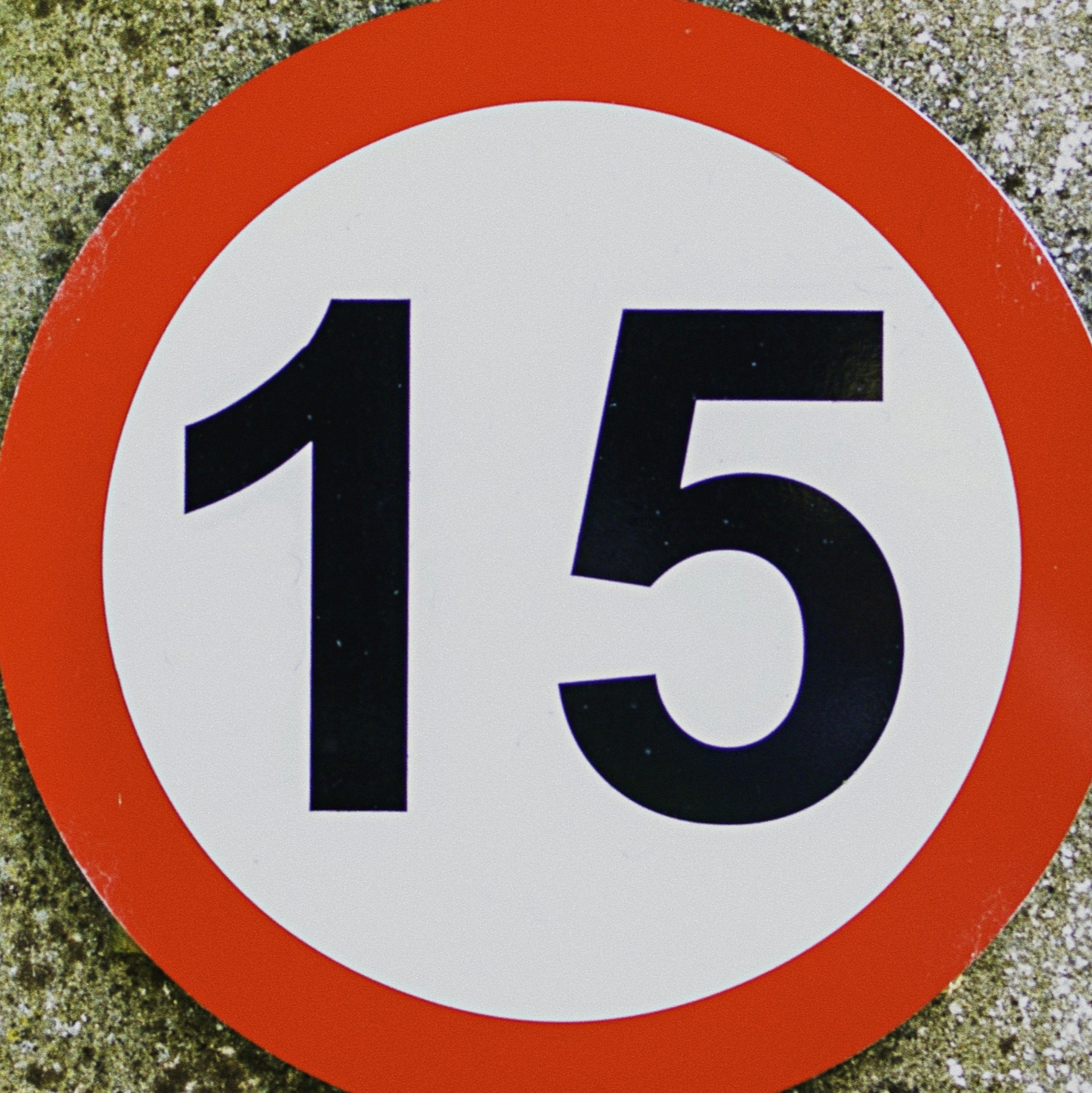 15 Memorable Minutes